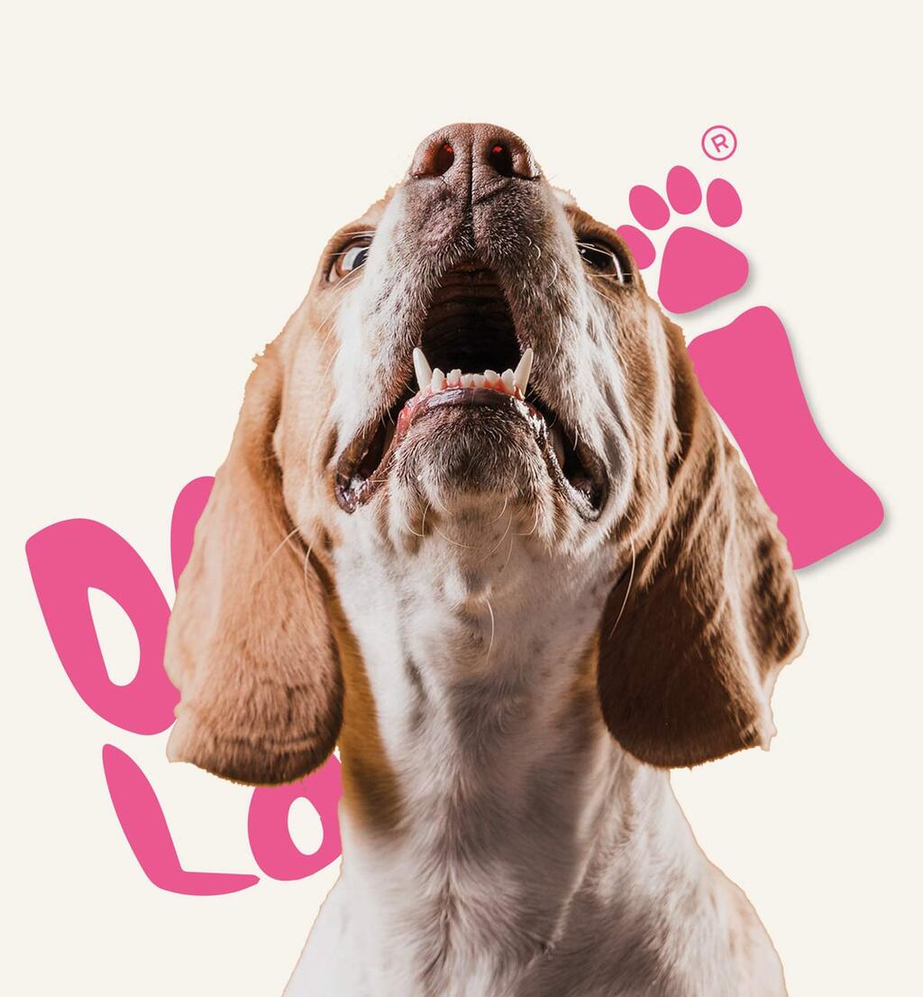 Perro con caption doglovers de fondo