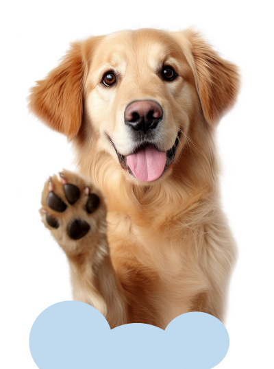 Un perro golden saludando