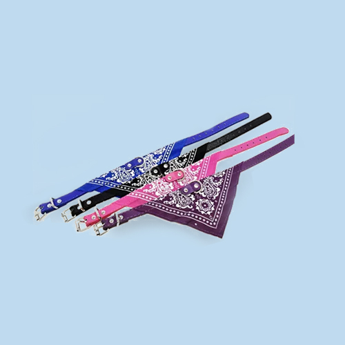 Collar con bandana mascota