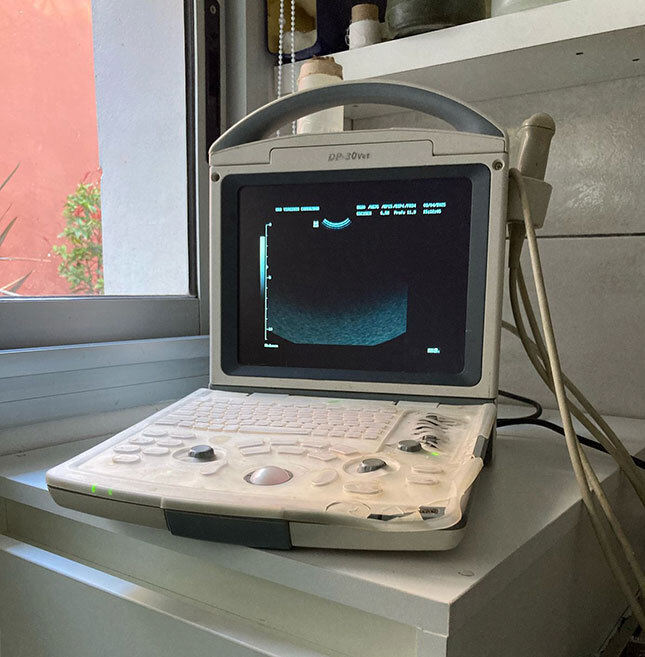 Mindray dp vet, ecografo prendido listo para usar